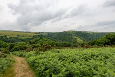 Exmoor Ulusal Parkı 'ndaki Watersmeet Vadisi Countisbury Tepesi' nin tepesinden görüntü
