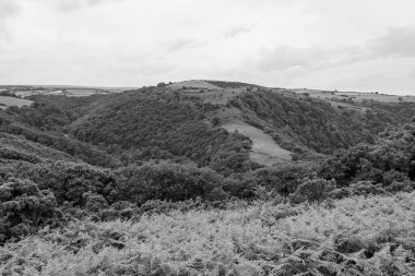 Exmoor Ulusal Parkı 'ndaki Watersmeet Vadisi Countisbury Tepesi' nin tepesinden görüntü