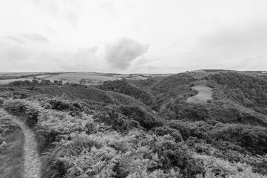 Exmoor Ulusal Parkı 'ndaki Watersmeet Vadisi Countisbury Tepesi' nin tepesinden görüntü