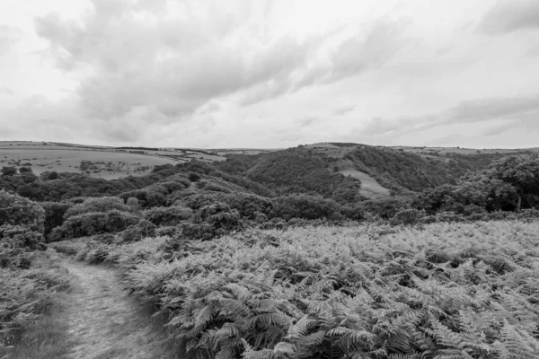 Exmoor国立公園のWatersmet ValleyのCountisbury Hillの上からの眺め — ストック写真