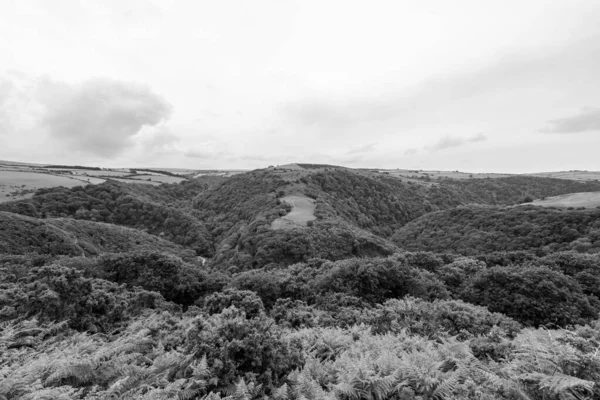 Exmoor Ulusal Parkı Ndaki Watersmeet Vadisi Countisbury Tepesi Nin Tepesinden — Stok fotoğraf
