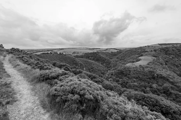 Utsikt Från Toppen Countisbury Hill Watersmeet Valley Exmoor National Park — Stockfoto