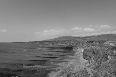 Dorset 'teki Kimmeridge Körfezi' nin manzara fotoğrafı.