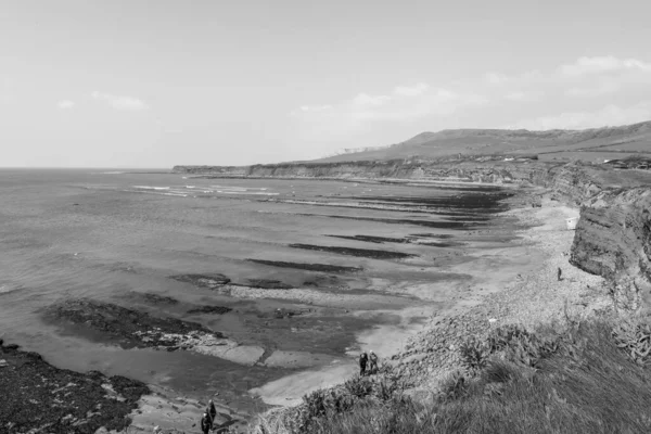 Dorset 'teki Kimmeridge Körfezi' nin manzara fotoğrafı.