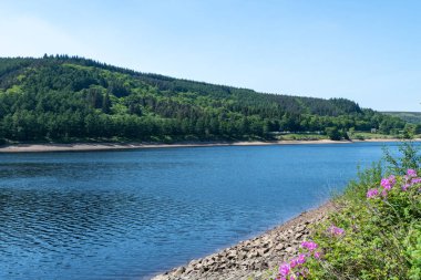 Peak District Ulusal Parkı 'ndaki Derwent rezervuarı.