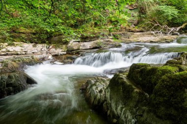 Doğu Lyn nehrinin üzerinde Exmoor Ulusal Parkı 'ndaki Watersmeet' te akan şelalenin uzun pozu