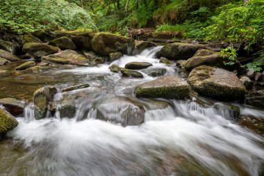 Doğu Lyn nehrinin üzerinde Exmoor Ulusal Parkı 'ndaki Watersmeet' te akan şelalenin uzun pozu