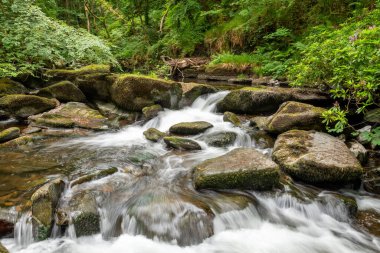 Doğu Lyn nehrinin üzerinde Exmoor Ulusal Parkı 'ndaki Watersmeet' te akan şelalenin uzun pozu