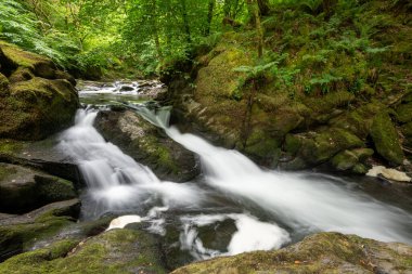 Doğu Lyn nehrinin üzerinde Exmoor Ulusal Parkı 'ndaki Watersmeet' te akan şelalenin uzun pozu