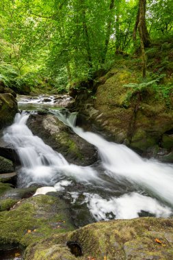 Doğu Lyn nehrinin üzerinde Exmoor Ulusal Parkı 'ndaki Watersmeet' te akan şelalenin uzun pozu