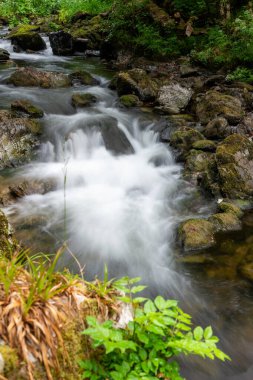 Doğu Lyn nehrinin üzerinde Exmoor Ulusal Parkı 'ndaki Watersmeet' te akan şelalenin uzun pozu