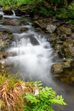 Doğu Lyn nehrinin üzerinde Exmoor Ulusal Parkı 'ndaki Watersmeet' te akan şelalenin uzun pozu