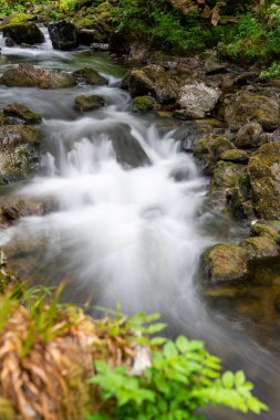 Doğu Lyn nehrinin üzerinde Exmoor Ulusal Parkı 'ndaki Watersmeet' te akan şelalenin uzun pozu