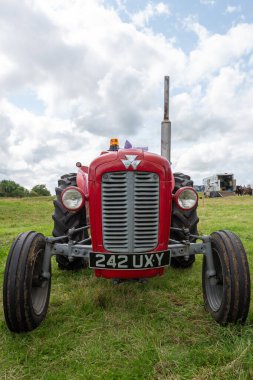 Low Ham.Somerset. Birleşik Krallık. 23 Temmuz 2023 'te restore edilen Massey Ferguson 35 traktörü Somerset buhar ve ülke fuarında sergileniyor.