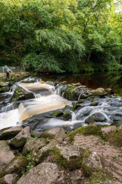 Dartmoor Ulusal Parkı 'ndaki Drogo Kalesi' nden akan Teign Nehri 'nin uzun pozu.