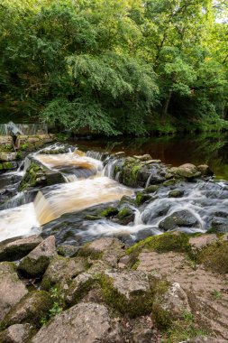 Dartmoor Ulusal Parkı 'ndaki Drogo Kalesi' nden akan Teign Nehri 'nin uzun pozu.