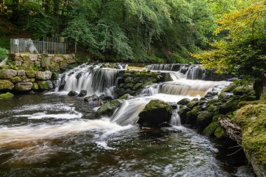 Dartmoor Ulusal Parkı 'ndaki Drogo Kalesi' nden akan Teign Nehri 'nin uzun pozu.