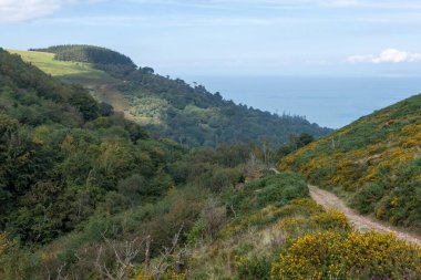 Exmoor Ulusal Parkı 'ndaki Glenthorne plajına giden patikanın fotoğrafı.