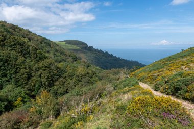 Exmoor Ulusal Parkı 'ndaki Glenthorne plajına giden patikanın fotoğrafı.