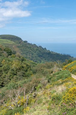 Exmoor Ulusal Parkı 'ndaki Glenthorne plajına giden patikanın fotoğrafı.