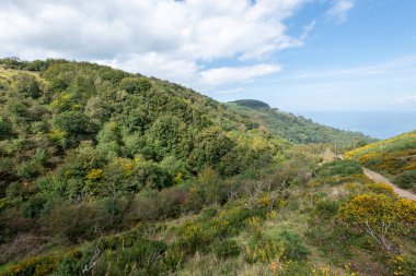 Exmoor Ulusal Parkı 'ndaki Glenthorne plajına giden patikanın fotoğrafı.