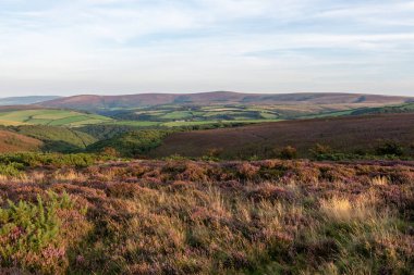 Porlock Common 'un Exmoor Natioanl Park' taki Porlock Tepesi manzarası