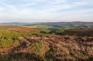 Porlock Common 'un Exmoor Natioanl Park' taki Porlock Tepesi manzarası