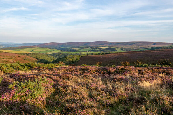 Вид на Порлок Коммон на вершине холма Порлок в парке Exmoor Natioanl