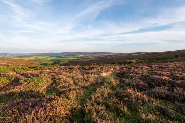 Вид на Порлок Коммон на вершине холма Порлок в парке Exmoor Natioanl