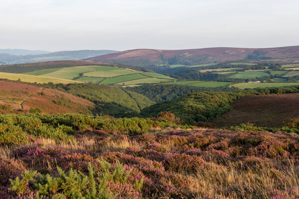 Вид на Порлок Коммон на вершине холма Порлок в парке Exmoor Natioanl