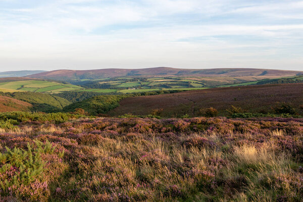 Вид на Порлок Коммон на вершине холма Порлок в парке Exmoor Natioanl
