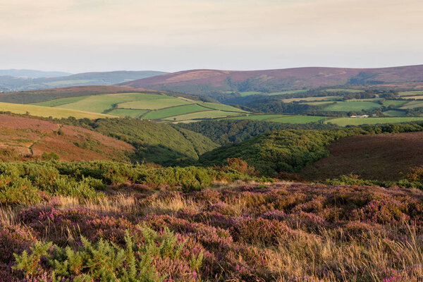 Вид на Порлок Коммон на вершине холма Порлок в парке Exmoor Natioanl