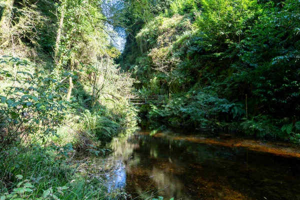 Lyford Gorge, Devon 'daki Lyd nehri.