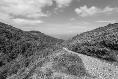 Exmoor Ulusal Parkı 'ndaki Glenthorne plajına giden patikanın fotoğrafı.