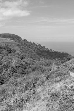 Exmoor Ulusal Parkı 'ndaki Glenthorne plajına giden patikanın fotoğrafı.