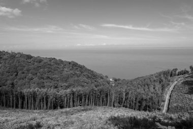 Exmoor Ulusal Parkı 'ndaki Glenthorne plajına giden patikanın fotoğrafı.