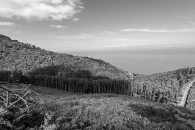 Exmoor Ulusal Parkı 'ndaki Glenthorne plajına giden patikanın fotoğrafı.