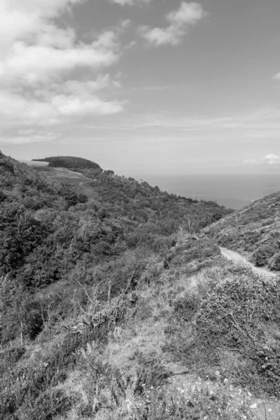 stock image Photo of the footpath leading down to Glenthorne beach in Exmoor National Park