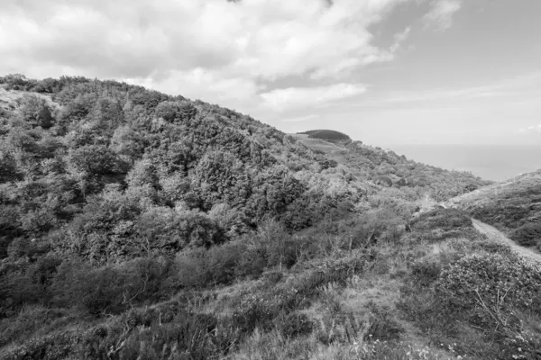 stock image Photo of the footpath leading down to Glenthorne beach in Exmoor National Park