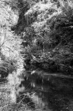 Lyford Gorge, Devon 'daki Lyd nehri.