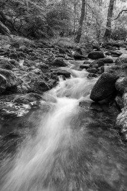 Doğu Lyn nehrinin üzerinde Exmoor Ulusal Parkı 'ndaki Watersmeet' te akan şelalenin uzun pozu