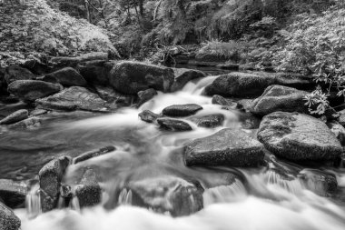 Doğu Lyn nehrinin üzerinde Exmoor Ulusal Parkı 'ndaki Watersmeet' te akan şelalenin uzun pozu