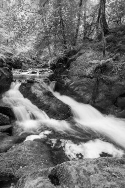 Doğu Lyn nehrinin üzerinde Exmoor Ulusal Parkı 'ndaki Watersmeet' te akan şelalenin uzun pozu