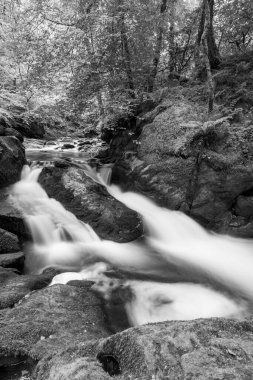 Doğu Lyn nehrinin üzerinde Exmoor Ulusal Parkı 'ndaki Watersmeet' te akan şelalenin uzun pozu