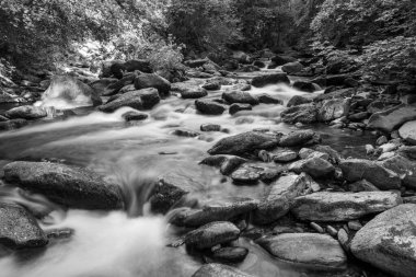 Doğu Lyn nehrinin üzerinde Exmoor Ulusal Parkı 'ndaki Watersmeet' te akan şelalenin uzun pozu