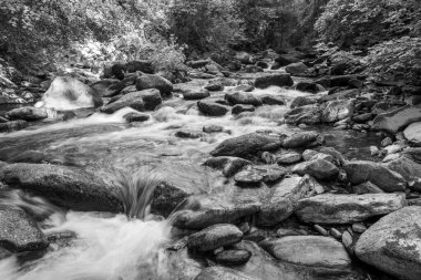 Doğu Lyn nehrinin üzerinde Exmoor Ulusal Parkı 'ndaki Watersmeet' te akan şelalenin uzun pozu