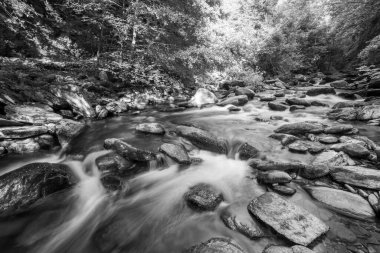 Doğu Lyn nehrinin üzerinde Exmoor Ulusal Parkı 'ndaki Watersmeet' te akan şelalenin uzun pozu