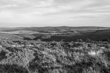 Porlock Common 'un Exmoor Ulusal Parkı' ndaki Porlock Hill 'in tepesindeki görüntüsü