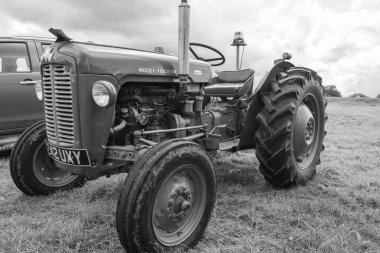 Low Ham.Somerset. Birleşik Krallık. 23 Temmuz 2023 'te restore edilen Massey Ferguson 35 traktörü Somerset buhar ve ülke fuarında sergileniyor.