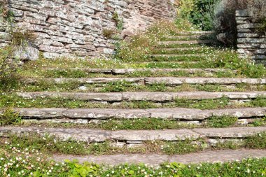 Taunton. Somerset. 9 Eylül 2023. Hestercombe Gardens 'taki süs merdiveninin fotoğrafı.